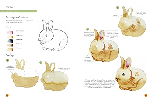 Paint 50: Watercolour Animals: From basic shapes to amazing paintings in super-easy steps - Retail Maharaj