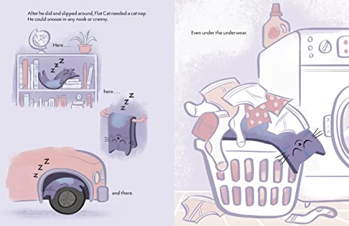 Flat Cat - Retail Maharaj