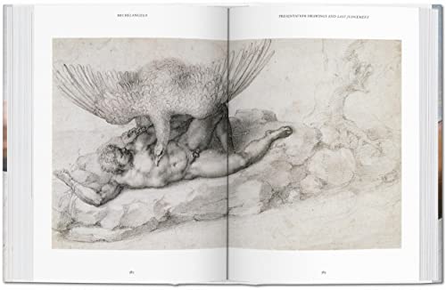 Michelangelo. The Complete Paintings, Sculptures and Arch. - Retail Maharaj