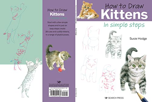 How to Draw: Kittens - Retail Maharaj