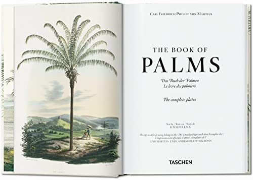 Martius. The Book of Palms. 40th Ed.: Graphic Design & New Typography 1919-1933 - Retail Maharaj