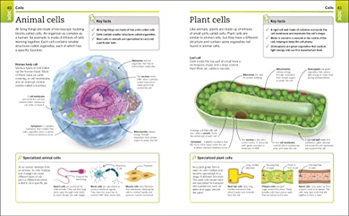 Biology: The Ultimate Bitesize Study Gui - Retail Maharaj