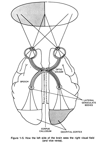 Introduction to Artificial Intelligence: Third Edition (Dover Books on Computer Science) - Retail Maharaj