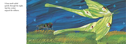 The Very Quiet Cricket Board Book - Retail Maharaj
