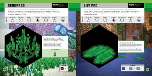 Minecraft Official Blocks Guide: Minecraft Official Blocks Guide: the definitive compendium to every block in Minecraft – the perfect gift for gamers of all ages! - Retail Maharaj