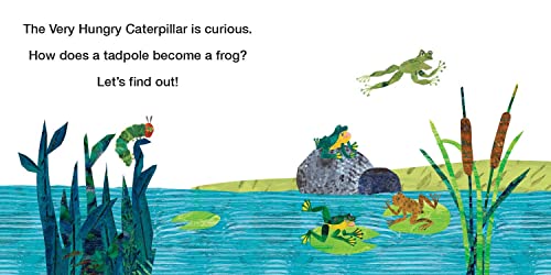 How Does a Tadpole Grow?: Life Cycles with The Very Hungry Caterpillar - Retail Maharaj