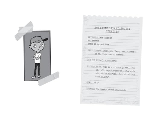 The Unlikely Diary of Prince Kal the Alien - Retail Maharaj
