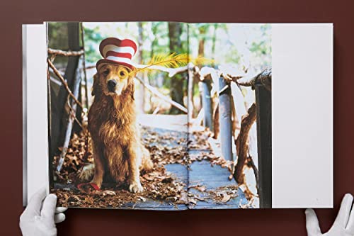 The Golden Retriever Photographic Society - Retail Maharaj