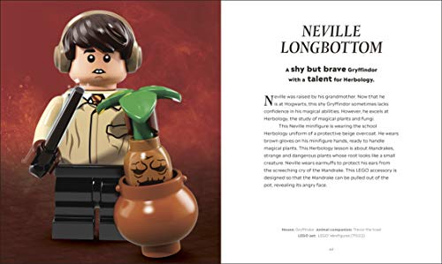 LEGO Harry Potter The Magical Guide to the Wizarding World (DK Bilingual Visual Dictionary) - Retail Maharaj