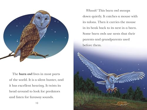 Black Out!: Animals That Live in the Dark: Animals That Live in the Dark (Penguin Young Readers, Level 3) - Retail Maharaj