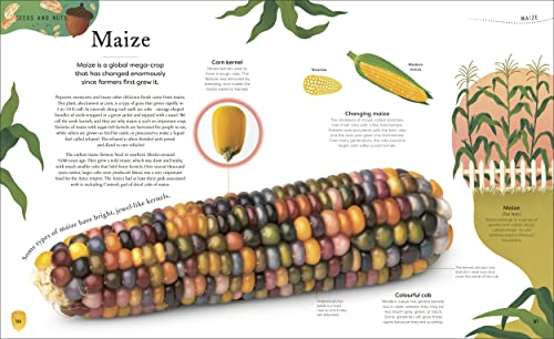 The Secret World of Plants: Tales of More Than 100 Remarkable Flowers, Trees, and Seeds - Retail Maharaj