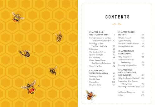 The Little Book of Bees: An illustrated guide to the extraordinary lives of bees - Retail Maharaj