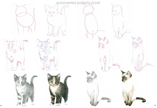 How to Draw: Kittens - Retail Maharaj