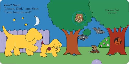 Spot’s Bedtime Walk: A magic spotlight book - Retail Maharaj