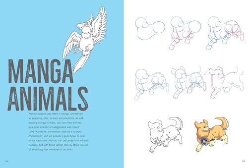 How To Draw Manga In Simple Steps - Retail Maharaj