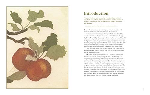 Fruit Trees for Every Garden: An Organic Approach to Growing Apples, Pears, Peaches, Plums, Citrus, and More - Retail Maharaj