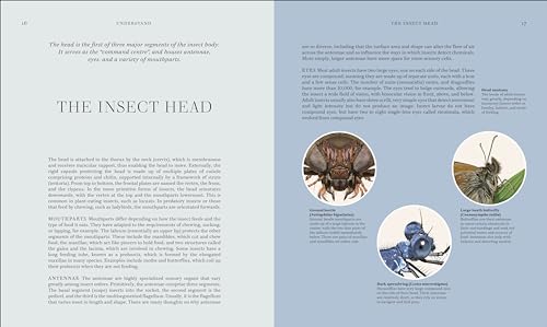 RES Insects: Discover the Science and Secrets Behind the World of Insects - Retail Maharaj
