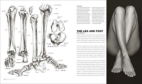 Anatomy for the Artist - Retail Maharaj