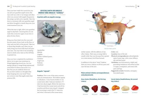 The Beginner's Guide to Crystal Healing - Retail Maharaj