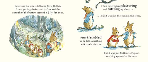 Peter Rabbit Tales - A Pumpkin for Peter (Peter Rabbit Baby Books) - Retail Maharaj