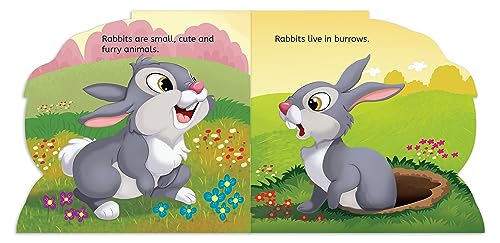My First Shaped Board Book: Illustrated Rabbit - Animal Picture Book for Kids Age 2+ Board book - Retail Maharaj