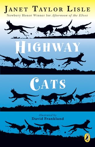 Highway Cats - Retail Maharaj
