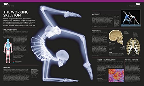 The Complete Human Body: The Definitive Visual Guide - Retail Maharaj