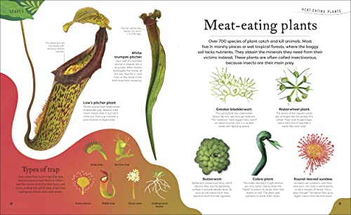 The Secret World of Plants: Tales of More Than 100 Remarkable Flowers, Trees, and Seeds - Retail Maharaj