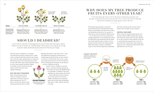 The Science of Gardening: Discover How Your Garden Really Grows - Retail Maharaj