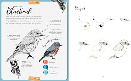 The Kew Book of Drawing Flora & Fauna: 20 Stunning Step-by-Step Tutorials - Retail Maharaj