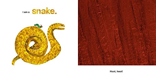 Can You Guess? Animal Sounds with The Very Hungry Caterpillar - Retail Maharaj