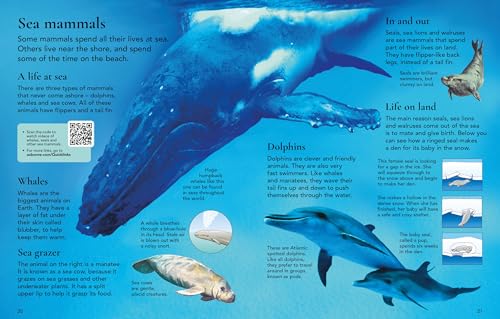 First Encyclopedia of Animals - Retail Maharaj