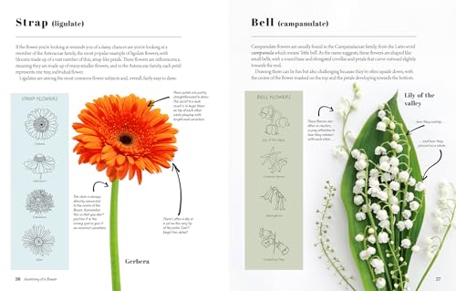 The Kew Book of Drawing Flowers: Failsafe Lessons for Drawing Floral and Botanical Elements. for Journaling, for Stationery, for Keeps - Retail Maharaj