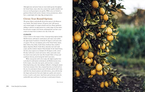 Fruit Trees for Every Garden: An Organic Approach to Growing Apples, Pears, Peaches, Plums, Citrus, and More - Retail Maharaj