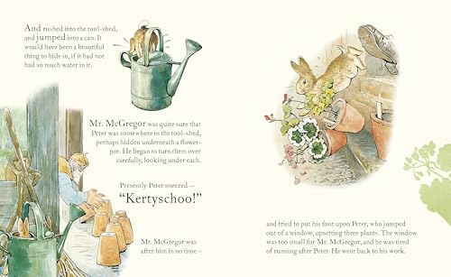 Peter Rabbit: Book and Toy Gift Set: The perfect present for babies and toddlers - Retail Maharaj