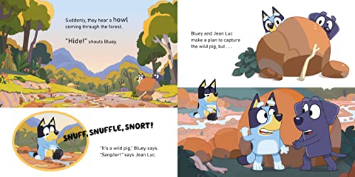 Bluey: Camping - Retail Maharaj