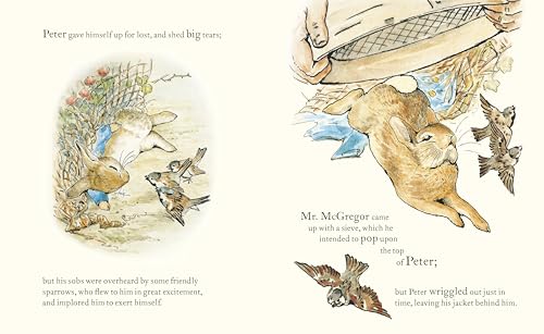 Peter Rabbit: Book and Toy Gift Set: The perfect present for babies and toddlers - Retail Maharaj