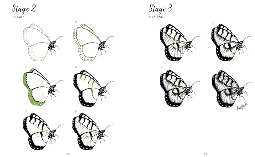 The Kew Book of Drawing Flora & Fauna: 20 Stunning Step-by-Step Tutorials - Retail Maharaj