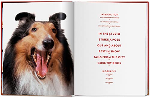 Walter Chandoha. Dogs. Photographs 1941-1991 - Retail Maharaj