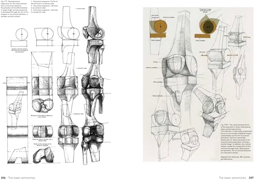 The Complete Guide to Anatomy for Artists & Illustrators: Drawing the Human Form - Retail Maharaj