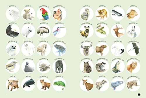 Draw 100: Animals - Retail Maharaj
