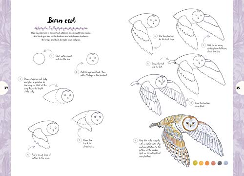 10 Step Drawing: Nature: Draw 60 Plants & Animals in 10 Easy Steps - Retail Maharaj