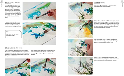 Capturing Light: Creating Radiant Landscapes in Watercolour (The Innovative Artist) - Retail Maharaj