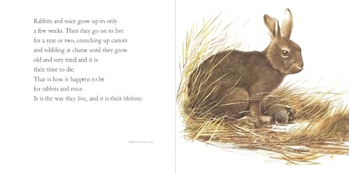 Lifetimes: The Beautiful Way to Explain Death to Children - Retail Maharaj