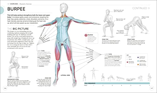 Science of HIIT: Understand the Anatomy and Physiology to Transform Your Body - Retail Maharaj
