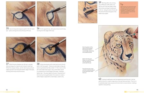 Watercolour Animals for the Absolute Beginner (ABSOLUTE BEGINNER ART) - Retail Maharaj