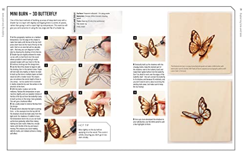 The Art of Pyrography: Drawing With Fire (Innovative Artist) - Retail Maharaj