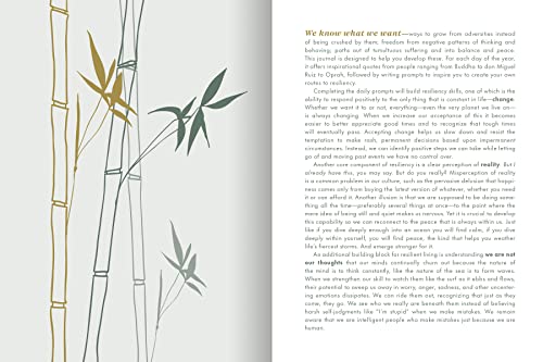 The Resilience Journal: 365 Days to Balance and Peace of Mind - Retail Maharaj