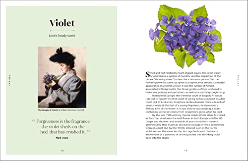 The Secret Language of Flowers - Retail Maharaj