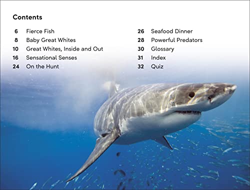 DK Super Readers Level 2 Great White Sharks - Retail Maharaj